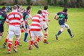 Monaghan 2nd XV Vs Randalstown, Foster Cup Q-Final - Feb 21st 2015 (1 of 25)